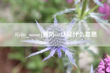 长沙消防ccc认证什么意思
