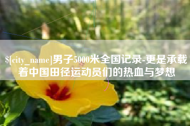 长沙男子5000米全国记录-更是承载着中国田径运动员们的热血与梦想