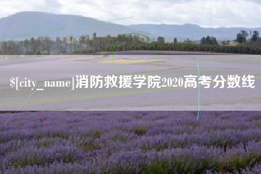 长沙消防救援学院2020高考分数线