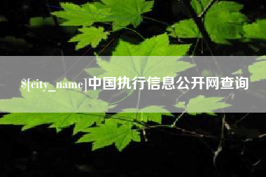 长沙中国执行信息公开网查询