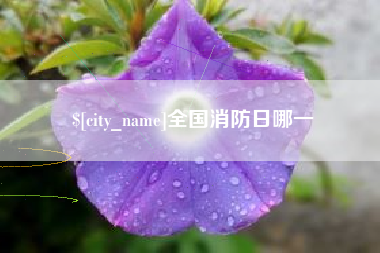 长沙全国消防日哪一