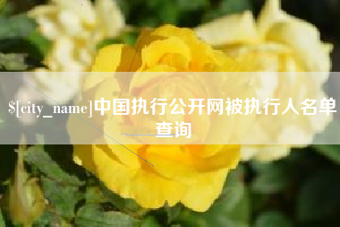 长沙中国执行公开网被执行人名单查询