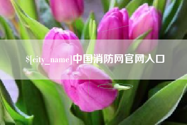 长沙中国消防网官网入口