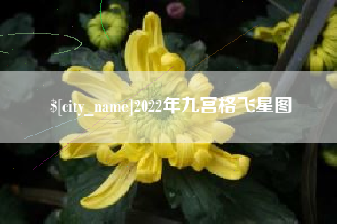 长沙2022年九宫格飞星图