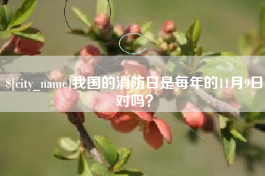 长沙我国的消防日是每年的11月9日对吗？