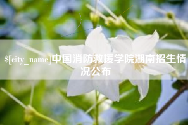 长沙中国消防救援学院湖南招生情况公布