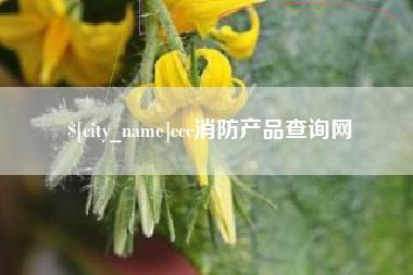 长沙ccc消防产品查询网