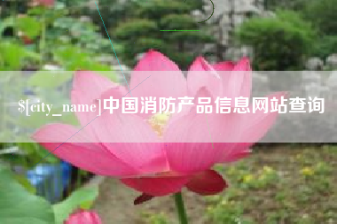 长沙中国消防产品信息网站查询