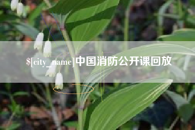 长沙中国消防公开课回放