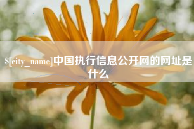 长沙中国执行信息公开网的网址是什么