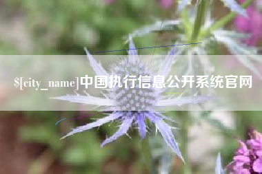 长沙中国执行信息公开系统官网