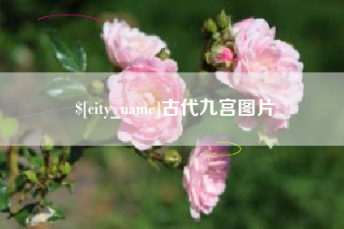 长沙古代九宫图片