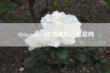 长沙中国消防产品官网