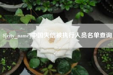 长沙中国失信被执行人员名单查询