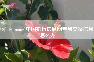 长沙中国执行信息网查到立案信息怎么办