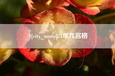 长沙21年九宫格