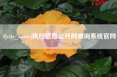 长沙执行信息公开网查询系统官网