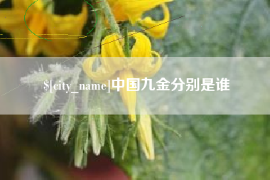 长沙中国九金分别是谁