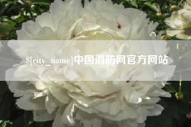 长沙中国消防网官方网站