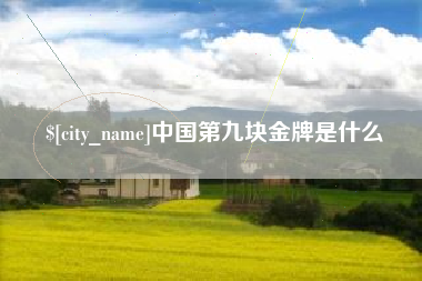 长沙中国第九块金牌是什么