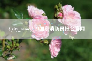 长沙2021国家消防员报名官网