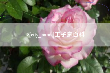 长沙王子豪百科