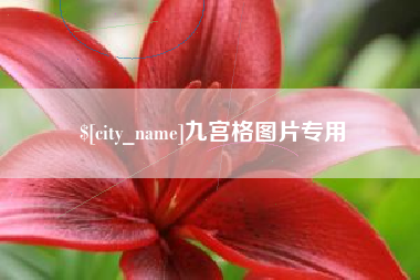 长沙九宫格图片专用