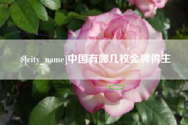 长沙中国有哪几枚金牌得主