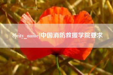 长沙中国消防救援学院要求