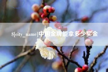 长沙中国金牌能拿多少奖金