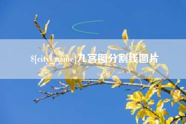 长沙九宫图分割线图片