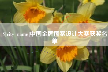 长沙中国金牌图案设计大赛获奖名单