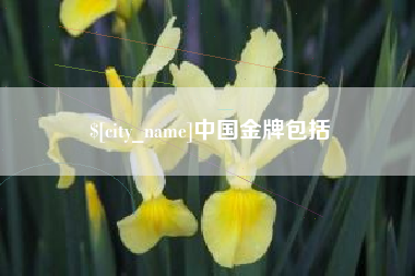 长沙中国金牌包括