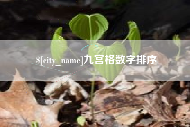 长沙九宫格数字排序