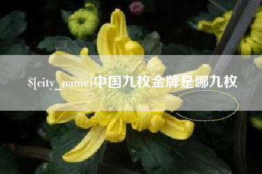 长沙中国九枚金牌是哪九枚