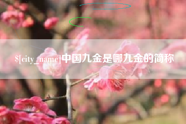 长沙中国九金是哪九金的简称