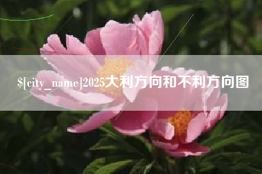 长沙2025大利方向和不利方向图