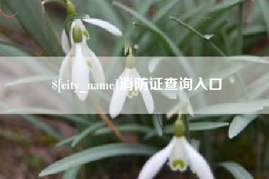 长沙消防证查询入口