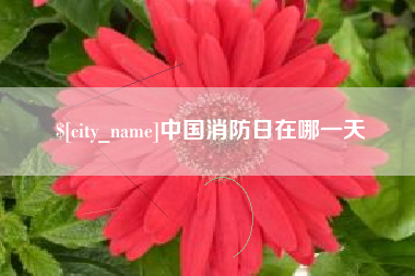 长沙中国消防日在哪一天