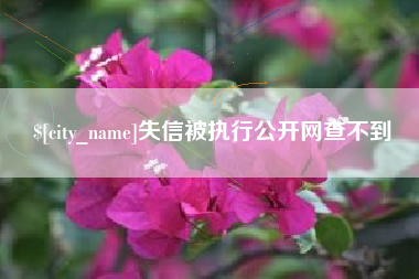 长沙失信被执行公开网查不到
