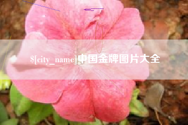 长沙中国金牌图片大全