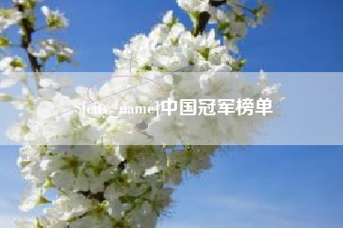 长沙中国冠军榜单
