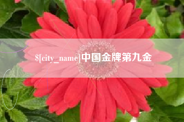 长沙中国金牌第九金