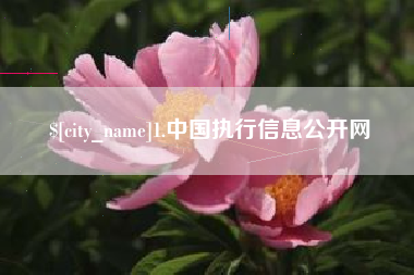 长沙1.中国执行信息公开网