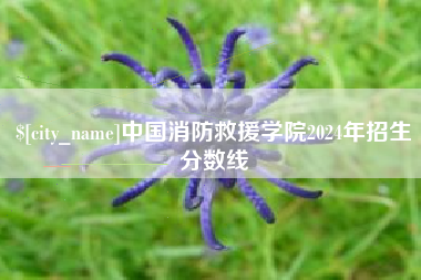 长沙中国消防救援学院2024年招生分数线