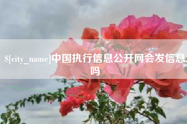 长沙中国执行信息公开网会发信息吗