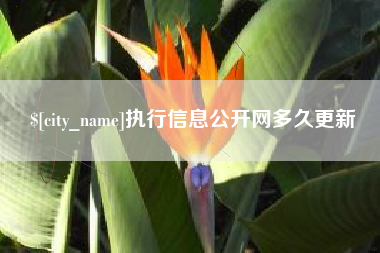 长沙执行信息公开网多久更新