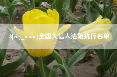 长沙全国失信人法院执行名单