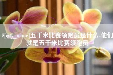 长沙五千米比赛领跑员是什么-他们就是五千米比赛领跑员