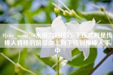 长沙60米接力赛技巧-下压式则是传棒人将棒的前部由上向下传到接棒人手中